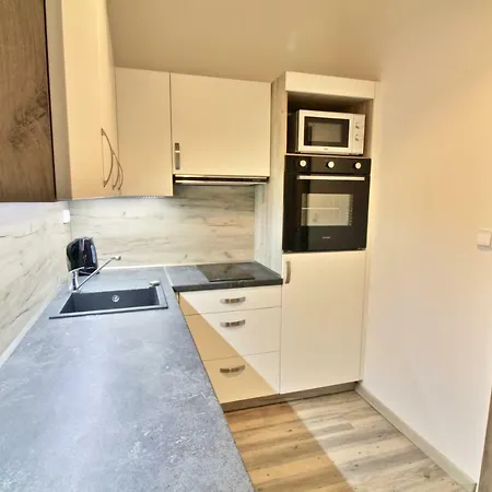 Apartmán Stylish Flatel Zizkov Praha